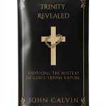 Calvinist Christianity Kindle Store B0CB8MCFP5 Grapevine-0
